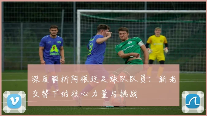 深度解析阿根廷足球队队员:新老交替下的核心力量与挑战